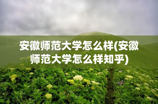 安徽师范大学怎么样(安徽师范大学怎么样知乎)