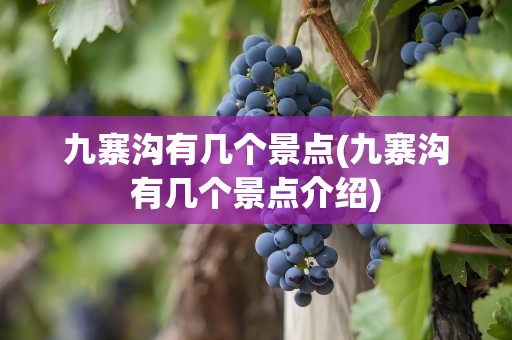 九寨沟有几个景点(九寨沟有几个景点介绍)