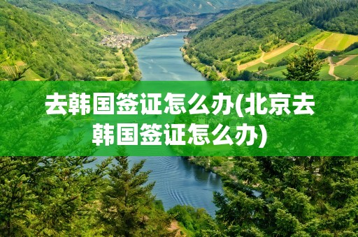 去韩国签证怎么办(北京去韩国签证怎么办)