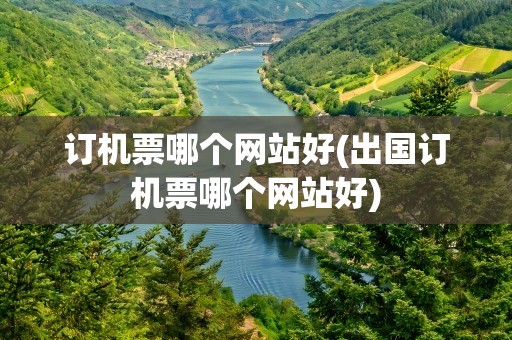 订机票哪个网站好(出国订机票哪个网站好)