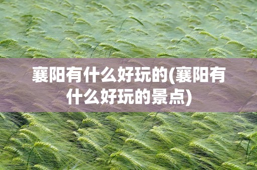 襄阳有什么好玩的(襄阳有什么好玩的景点)
