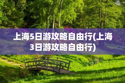 上海5日游攻略自由行(上海3日游攻略自由行)