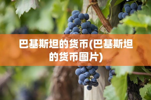 巴基斯坦的货币(巴基斯坦的货币图片)