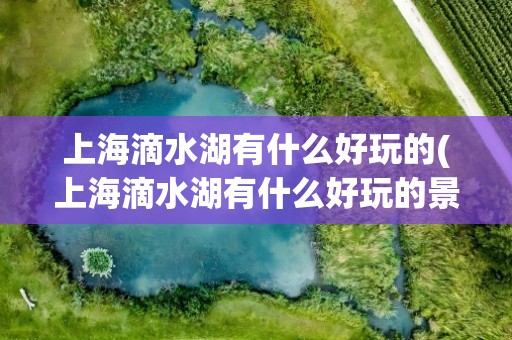 上海滴水湖有什么好玩的(上海滴水湖有什么好玩的景点)