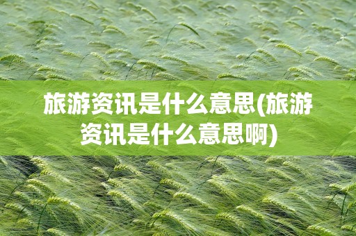旅游资讯是什么意思(旅游资讯是什么意思啊)