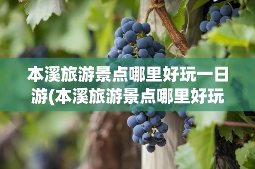 本溪旅游景点哪里好玩一日游(本溪旅游景点哪里好玩一日游攻略)