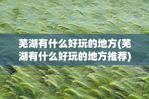 芜湖有什么好玩的地方(芜湖有什么好玩的地方推荐)
