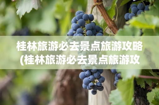 桂林旅游必去景点旅游攻略(桂林旅游必去景点旅游攻略图)