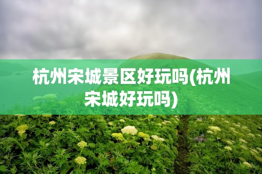 杭州宋城景区好玩吗(杭州宋城好玩吗)