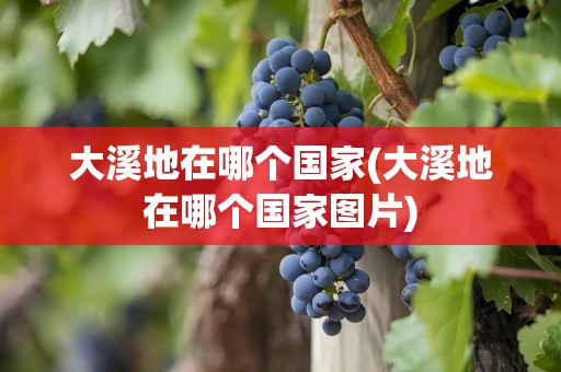 大溪地在哪个国家(大溪地在哪个国家图片)