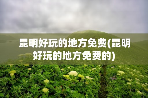 昆明好玩的地方免费(昆明好玩的地方免费的)