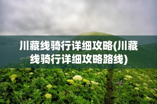 川藏线骑行详细攻略(川藏线骑行详细攻略路线)