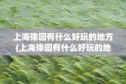上海豫园有什么好玩的地方(上海豫园有什么好玩的地方吗)