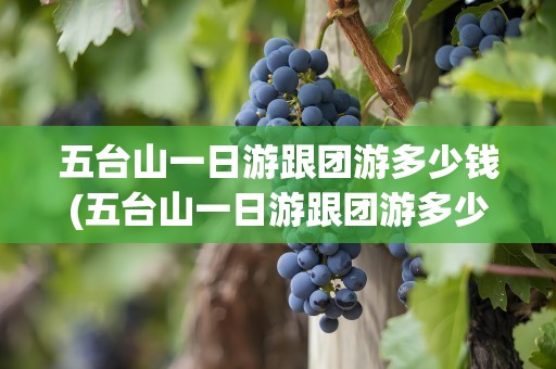 五台山一日游跟团游多少钱(五台山一日游跟团游多少钱合适)