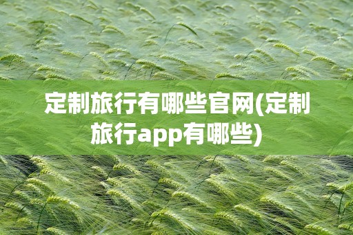定制旅行有哪些官网(定制旅行app有哪些)