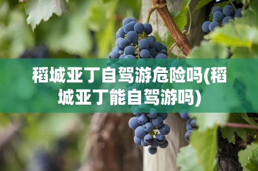 稻城亚丁自驾游危险吗(稻城亚丁能自驾游吗)