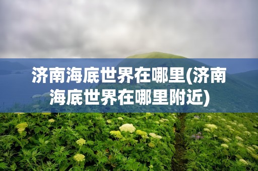 济南海底世界在哪里(济南海底世界在哪里附近)