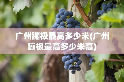 广州蹦极最高多少米(广州蹦极最高多少米高)