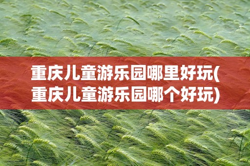 重庆儿童游乐园哪里好玩(重庆儿童游乐园哪个好玩)