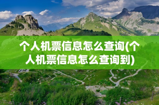 个人机票信息怎么查询(个人机票信息怎么查询到)