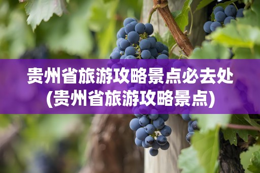 贵州省旅游攻略景点必去处(贵州省旅游攻略景点)