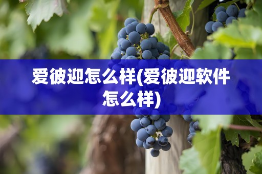 爱彼迎怎么样(爱彼迎软件怎么样)