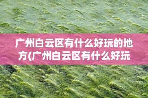 广州白云区有什么好玩的地方(广州白云区有什么好玩的地方推荐)