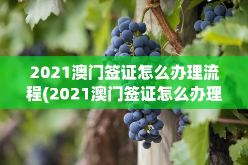 2021澳门签证怎么办理流程(2021澳门签证怎么办理流程图)