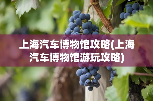 上海汽车博物馆攻略(上海汽车博物馆游玩攻略)