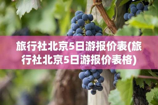 旅行社北京5日游报价表(旅行社北京5日游报价表格)