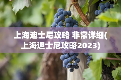 上海迪士尼攻略 非常详细(上海迪士尼攻略2023)