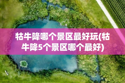 牯牛降哪个景区最好玩(牯牛降5个景区哪个最好)