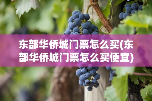 东部华侨城门票怎么买(东部华侨城门票怎么买便宜)