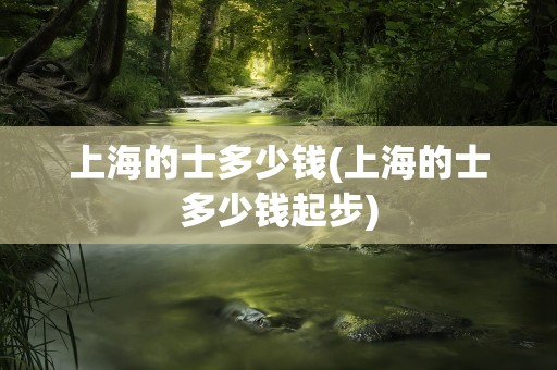 上海的士多少钱(上海的士多少钱起步)