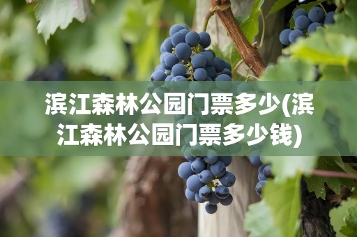 滨江森林公园门票多少(滨江森林公园门票多少钱)