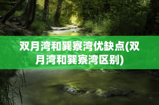 双月湾和巽寮湾优缺点(双月湾和巽寮湾区别)