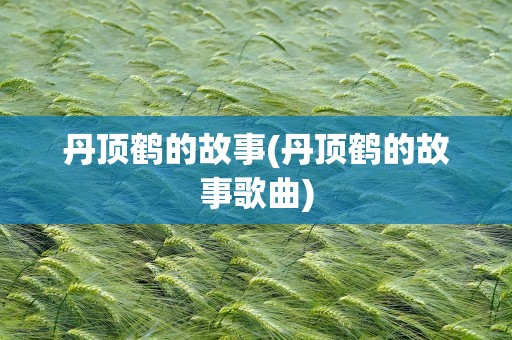 丹顶鹤的故事(丹顶鹤的故事歌曲)