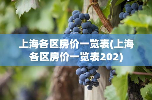 上海各区房价一览表(上海各区房价一览表202)