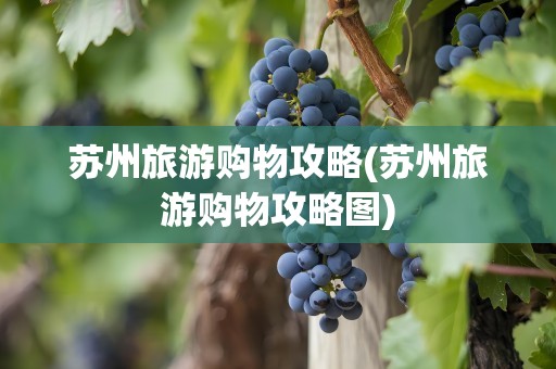 苏州旅游购物攻略(苏州旅游购物攻略图)