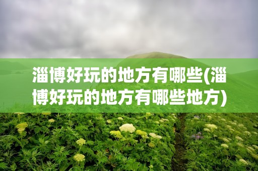淄博好玩的地方有哪些(淄博好玩的地方有哪些地方)