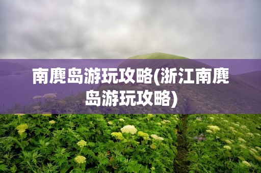 南麂岛游玩攻略(浙江南麂岛游玩攻略)