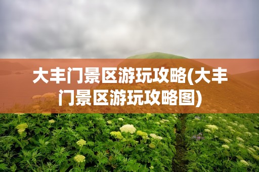 大丰门景区游玩攻略(大丰门景区游玩攻略图)