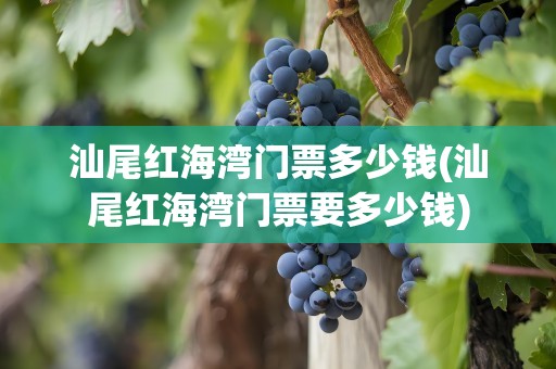 汕尾红海湾门票多少钱(汕尾红海湾门票要多少钱)