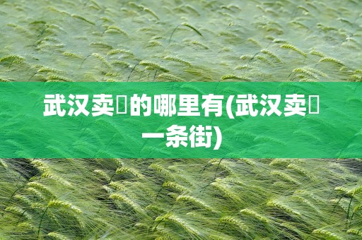 武汉卖婬的哪里有(武汉卖婬一条街)