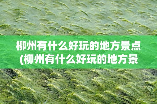 柳州有什么好玩的地方景点(柳州有什么好玩的地方景点推荐)