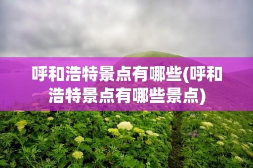 呼和浩特景点有哪些(呼和浩特景点有哪些景点)