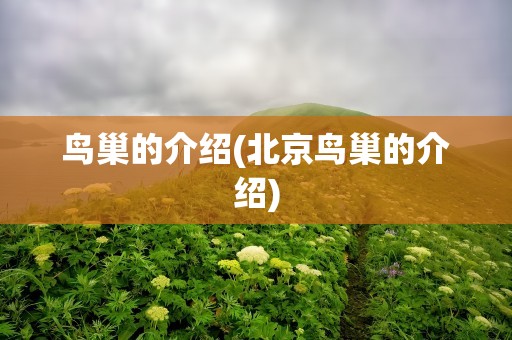 鸟巢的介绍(北京鸟巢的介绍)