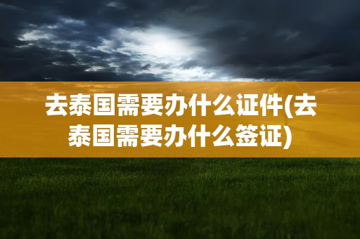 去泰国需要办什么证件(去泰国需要办什么签证)
