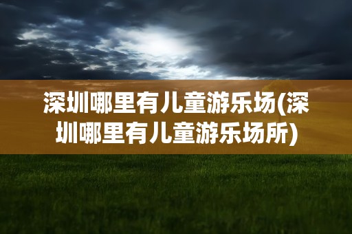 深圳哪里有儿童游乐场(深圳哪里有儿童游乐场所)