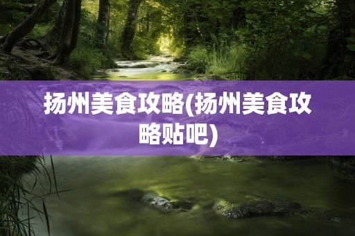 扬州美食攻略(扬州美食攻略贴吧)